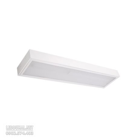 Máng Đèn Tán Quang Lắp Nổi Chụp MICA - LLN6218