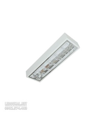 Máng Đèn Phản Quang Lắp Nổi 1x9W - LDN109