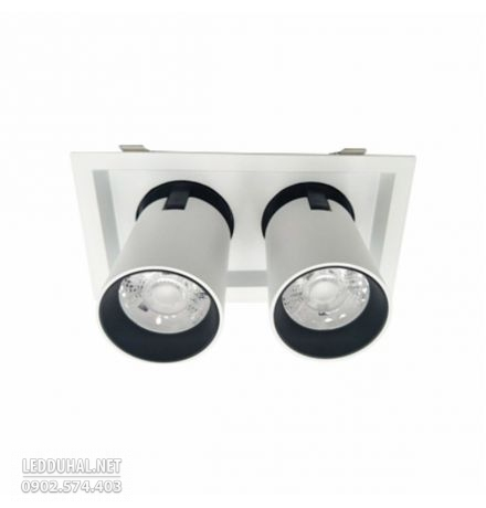 Đèn Led Downlight Chiếu Điểm 2x15W - DFC2152