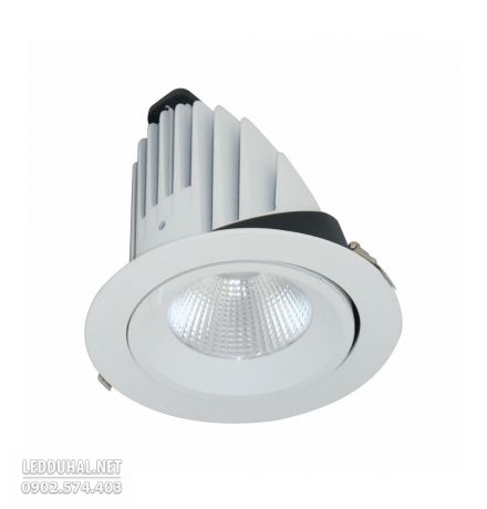 Đèn LED Downlight Chiếu Sâu 40W - BIB0401