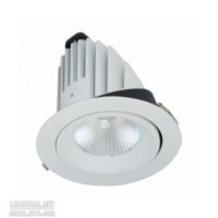 Đèn LED Downlight Chiếu Sâu 50W - BIB0501
