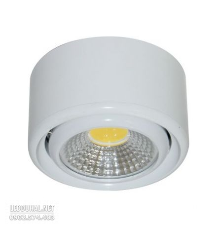 Đèn Led Chiếu Điểm Gắn Nổi Trang Trí Mini 5W - DGD0053