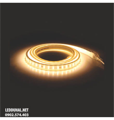 LED Dây Ánh Sáng Vàng 6W/M (2 Dòng Led) - LDV03